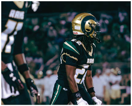 A person wearing a football helmet and a white jersey with the word Grayson and the number 10 stands outdoors with trees in the background. Description generated by AI