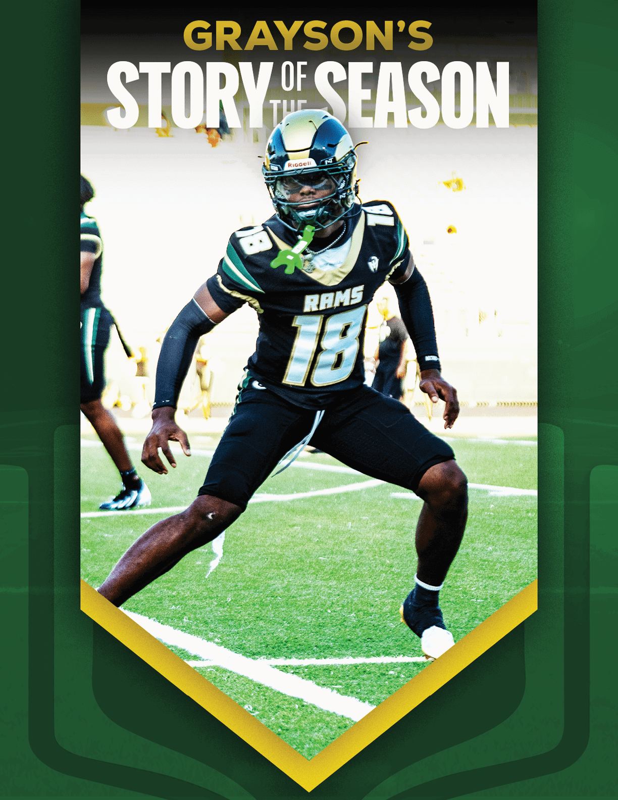 An adult wearing a white football uniform with the number 12 is catching a football on a field with a referee and spectators in the background, framed by a green and gold banner with the text “Grayson's Story of the Season." Description generated by AI