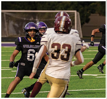 A football player running on the field. Description generated by AI