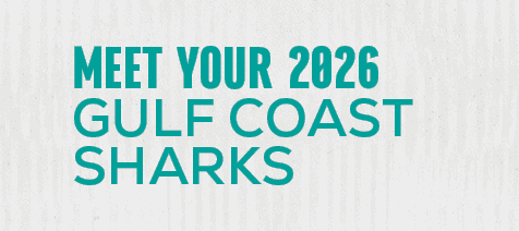 meet your 2026 gulf coast shark
