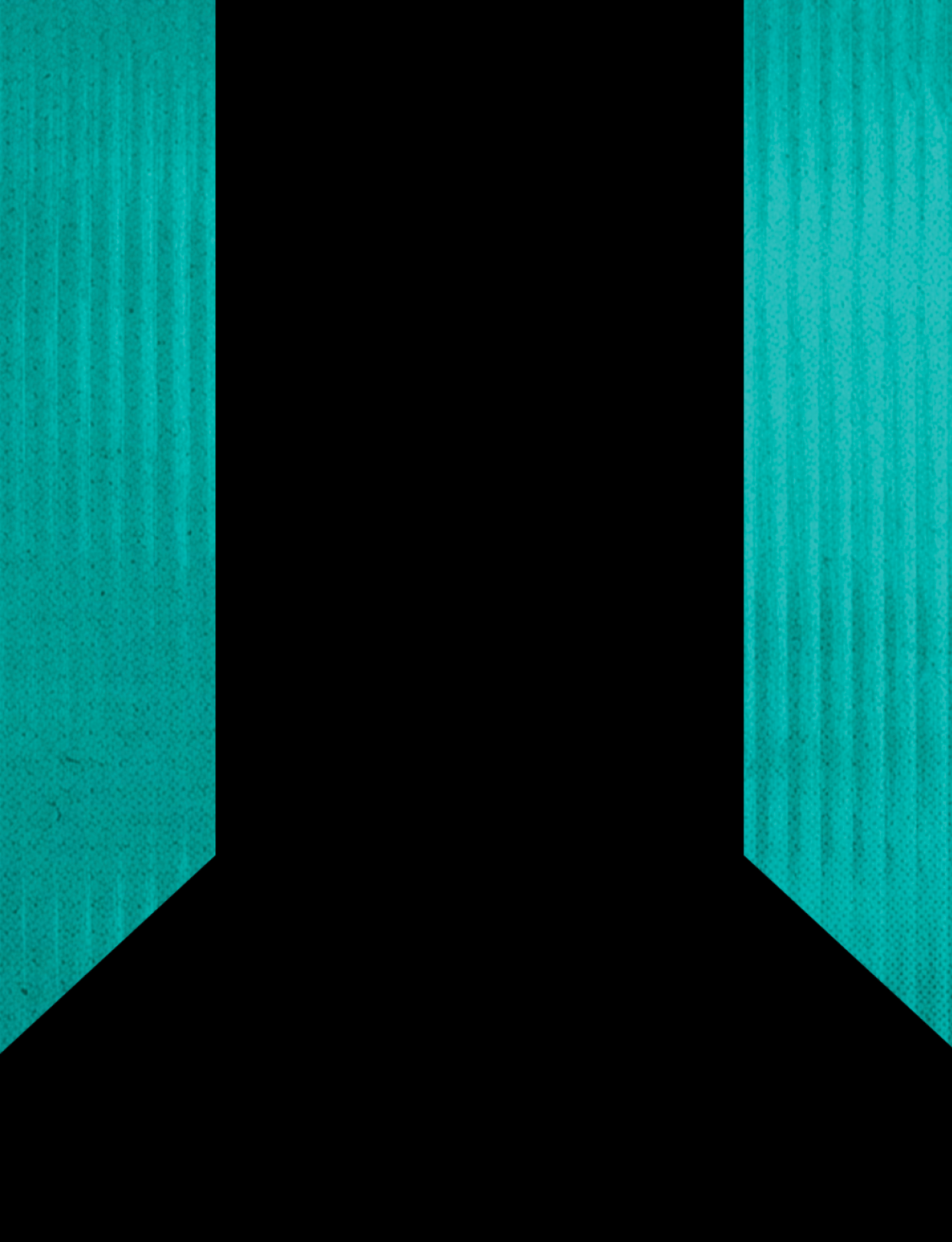 A black and teal colored flag. Description generated by AI