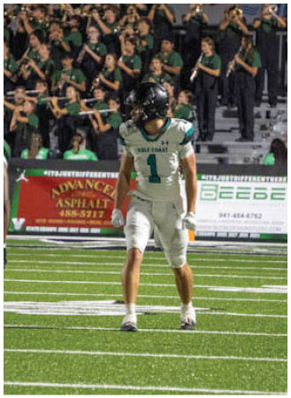 A football field with a player in a white jersey and white pants. Description generated by AI