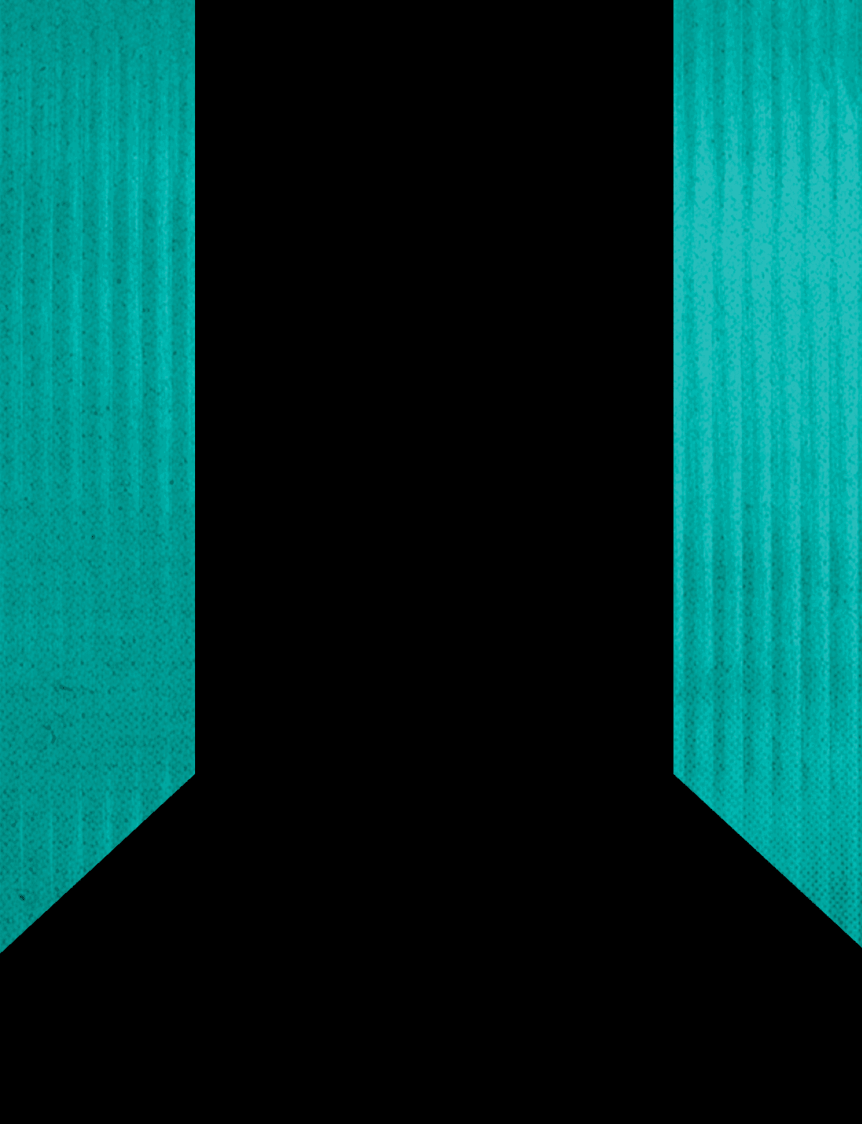 A black and teal colored flag. Description generated by AI