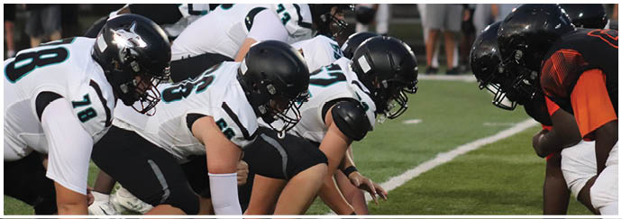A group of football players in a huddle on the field. Description generated by AI