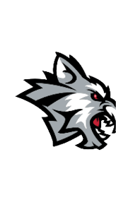 A wolf with its mouth open. Description generated by AI