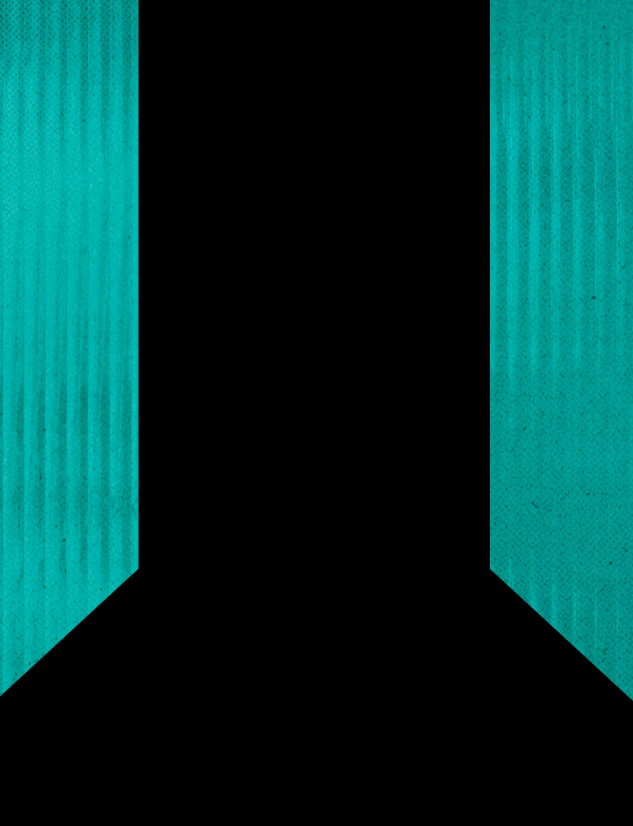 A black and teal colored flag. Description generated by AI