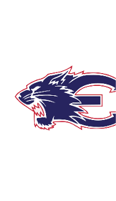 A blue and red logo of a lion. Description generated by AI
