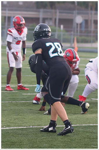A football player in a black jersey with the number 20 on it. Description generated by AI