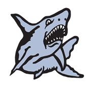 A shark with a wide open mouth. Description generated by AI
