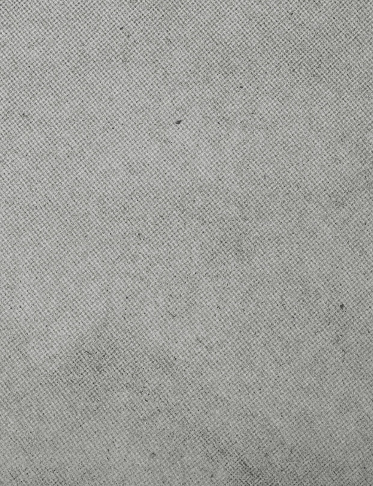 A close-up view of a textured gray concrete surface with small scattered dark specks. Description generated by AI