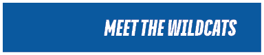  meet the wildcats