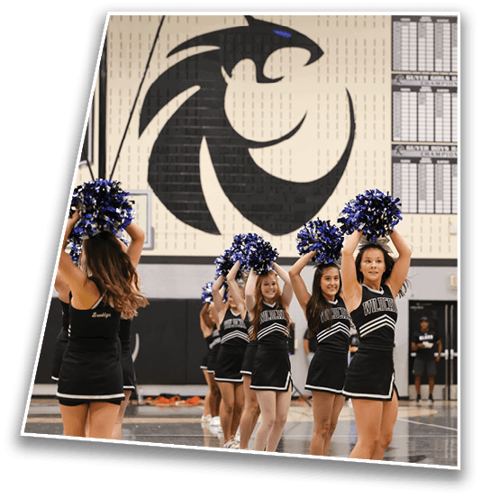 A large stylized black panther head with a blue eye is painted on a beige brick wall inside a gymnasium. Description generated by AI