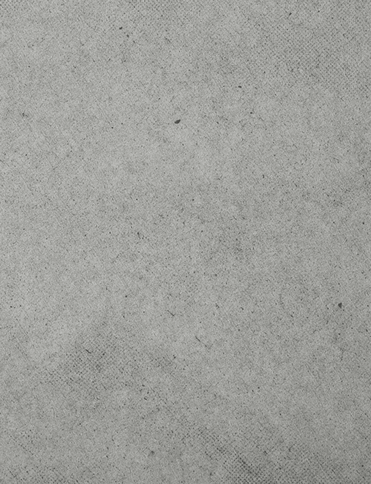 A close-up view of a textured gray concrete surface with small scattered dark specks. Description generated by AI