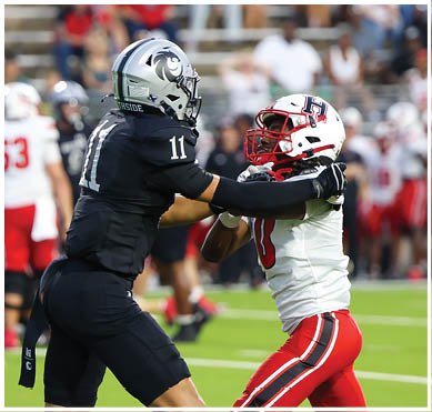 Two people in football uniforms are engaged in a play on a green field with a blurred crowd in the background. Description generated by AI