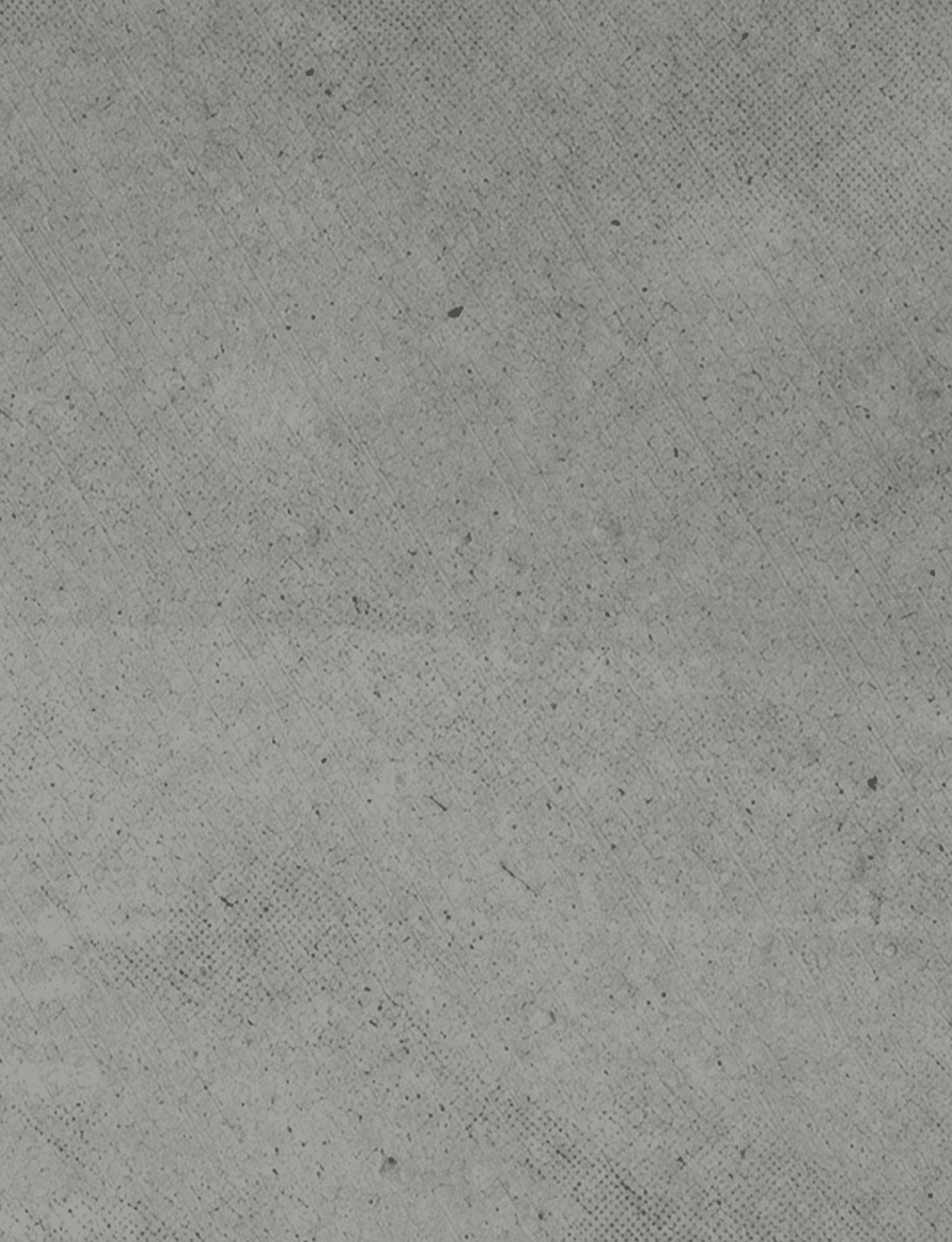 A close-up view of a textured gray concrete surface with small scattered dark specks. Description generated by AI