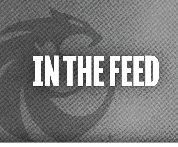 The text “IN THE FEED" is displayed in bold white letters over a textured gray background with a faint stylized panther logo. Description generated by AI