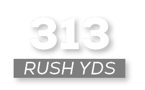 RUSH YDS,31