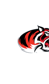 A stylized graphic of a tiger's head with bold red, black, white, and gray colors forming sharp, dynamic shapes. Description generated by AI