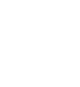 rush yds,17