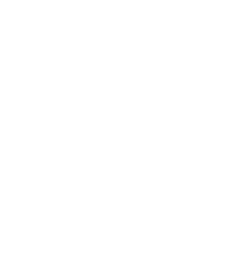 pass yds,29