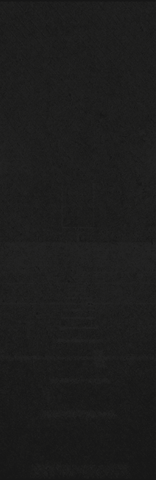 A close-up view of a textured gray surface with small scattered dark specks. Description generated by AI