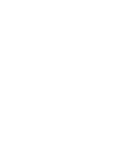 rush yds,28