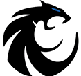 A War Eagles logo with a red and white color scheme. Description generated by AI
