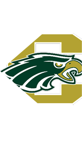 A stylized dark green eagle head with white and gold accents is superimposed on a large gold letter C. Description generated by AI
