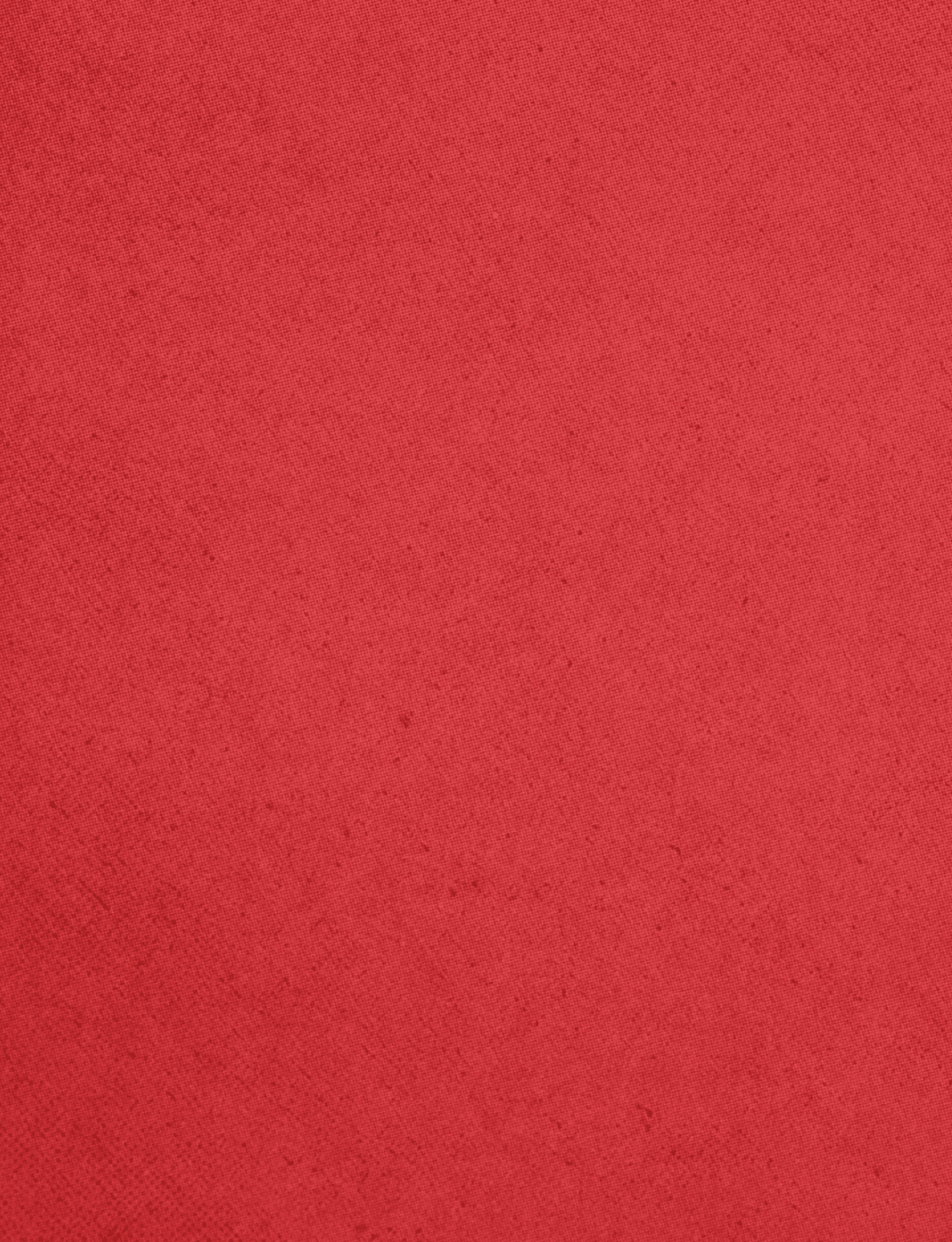 A red cloth with a red border. Description generated by AI