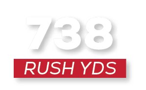 RUSH YDS,73