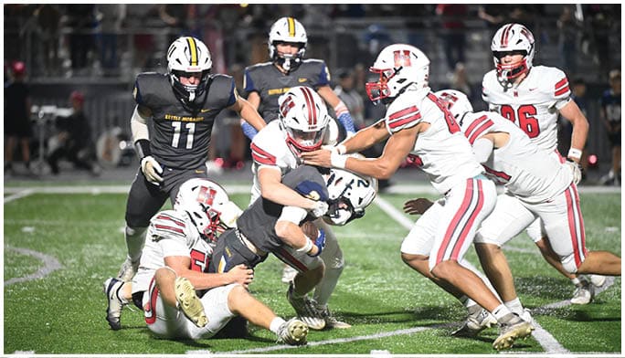 Several people in football uniforms are engaged in a tackle on a grassy field during a game. Description generated by AI