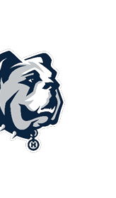 A blue and red logo of a lion. Description generated by AI