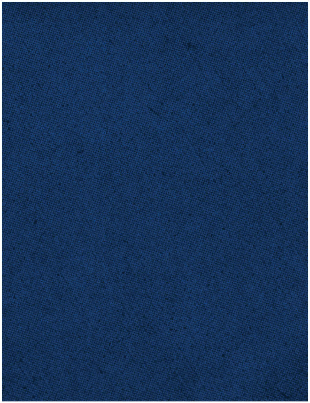 A red and blue striped cloth. Description generated by AI