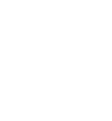 rush yds,25