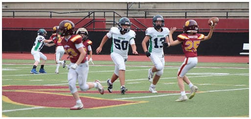 Three football players in blue and white uniforms running on a field. Description generated by AI