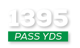pass YDS,139