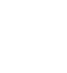 rush yds,20