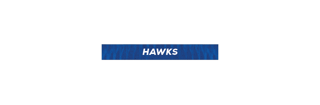 hawks,next leve