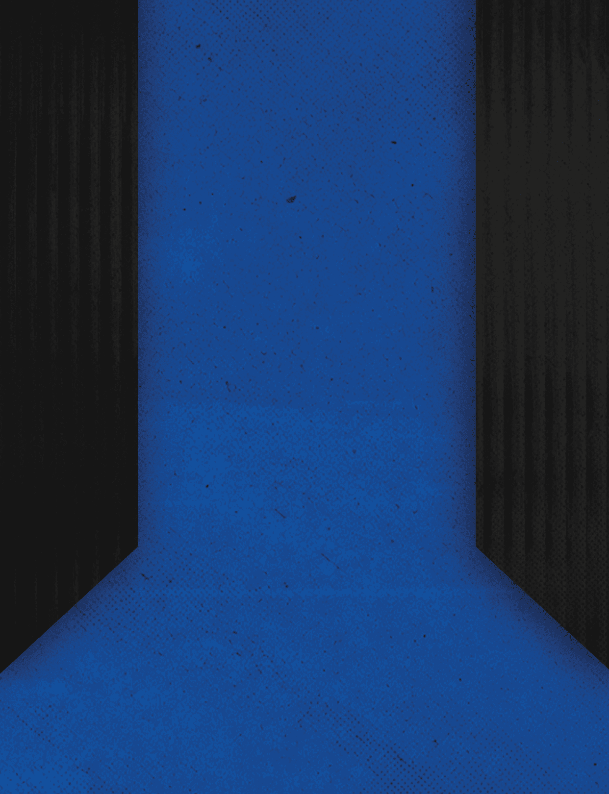 Two red and black triangles. Description generated by AI
