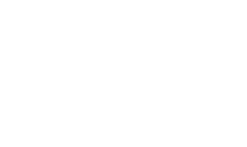 2010,