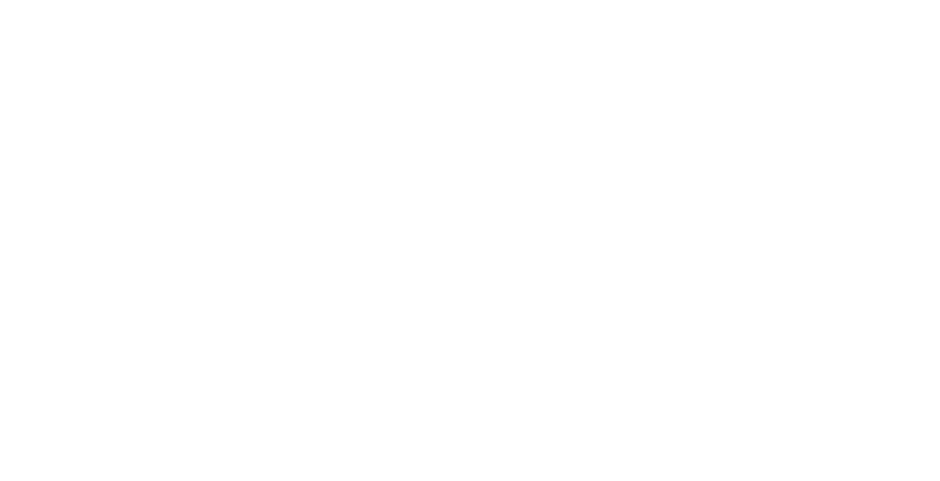 2025,