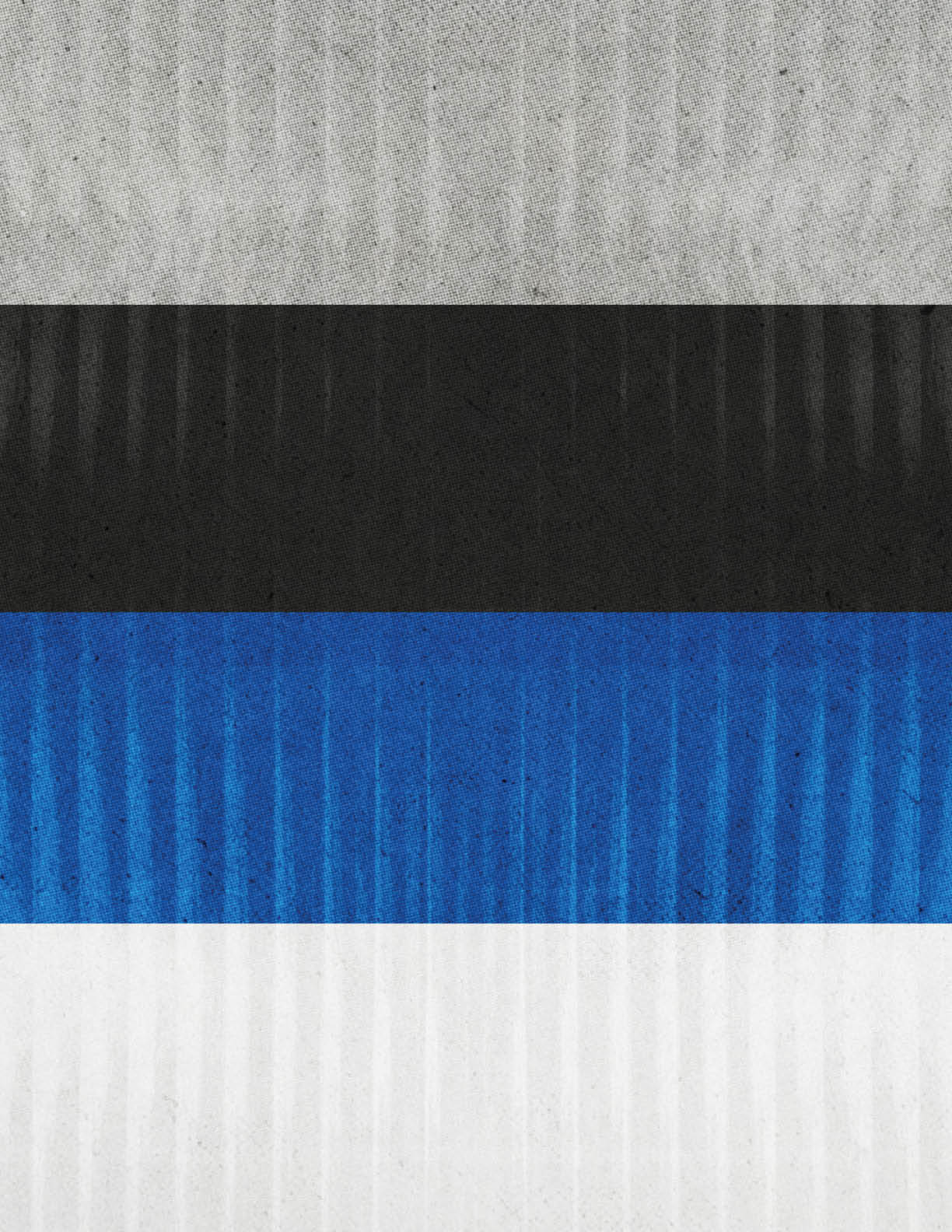 A vertically striped textured background with four horizontal color bands in light gray, black, blue, and white. Description generated by AI