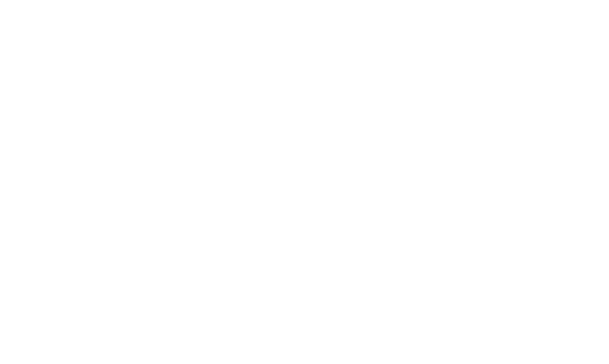 2019,
