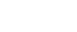 339