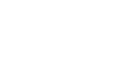 in the feed