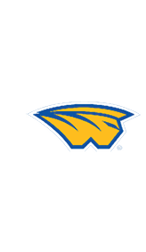 A blue and white logo for Valor. Description generated by AI