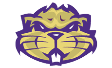 A green and gold logo for a school. Description generated by AI