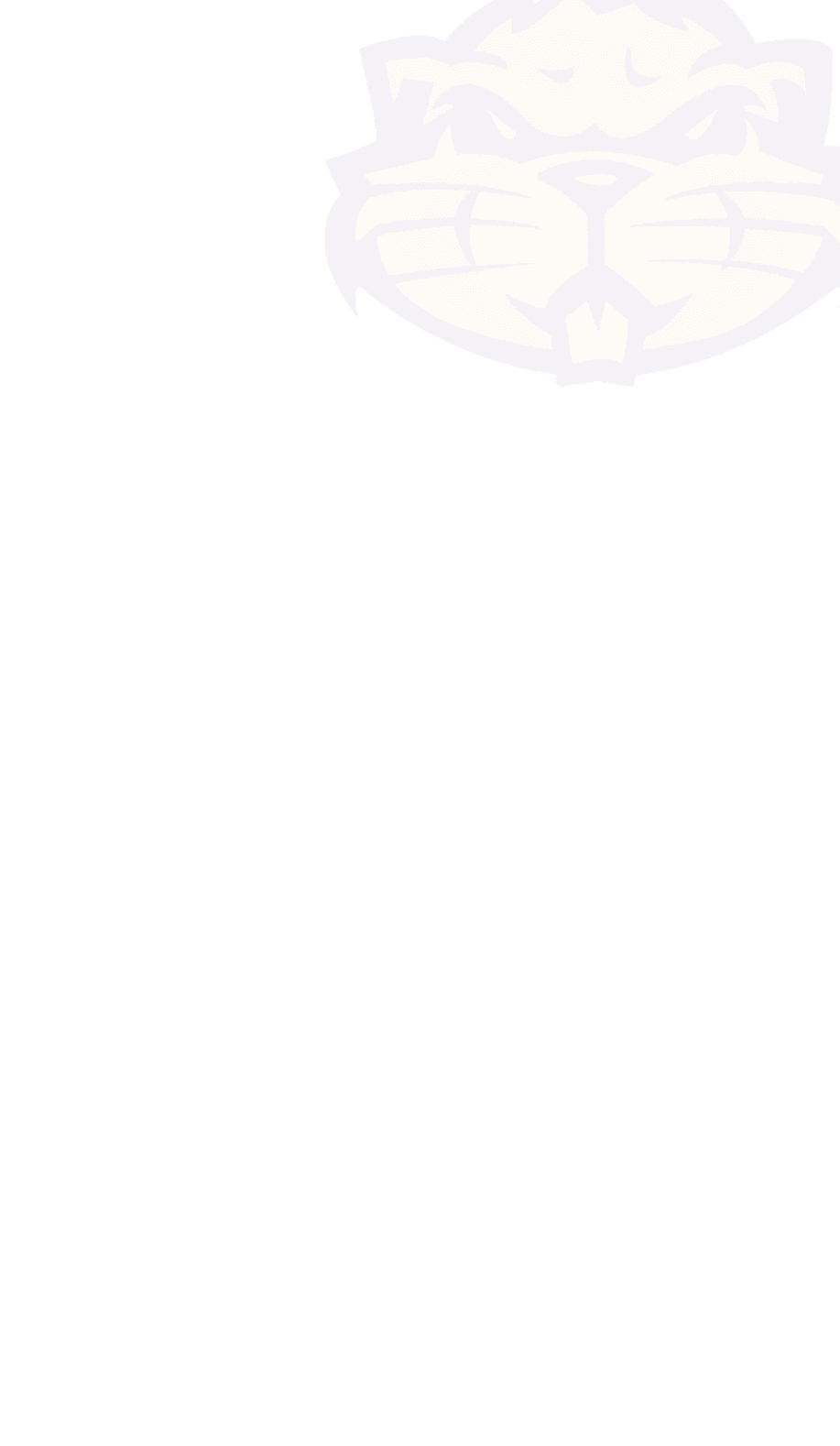 A logo for Dons football. Description generated by AI