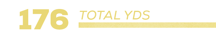 176,total YD