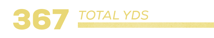 367,total YD